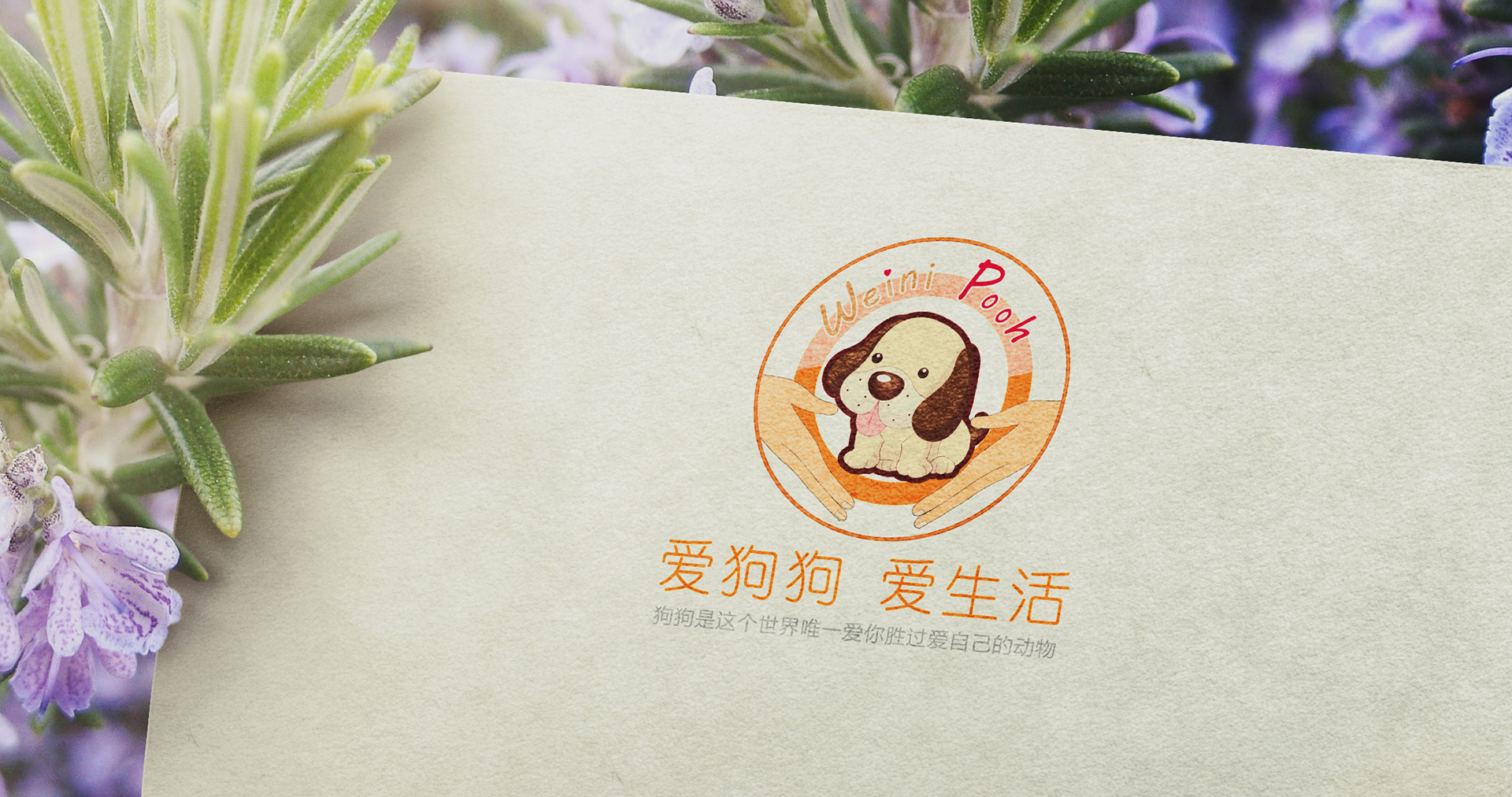 維尼狗狗會所logo設(shè)計(jì)效果圖
