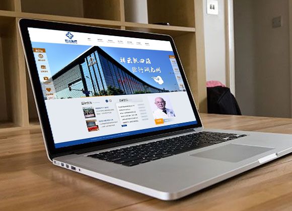 祥云醫(yī)療集團網(wǎng)站建設案例